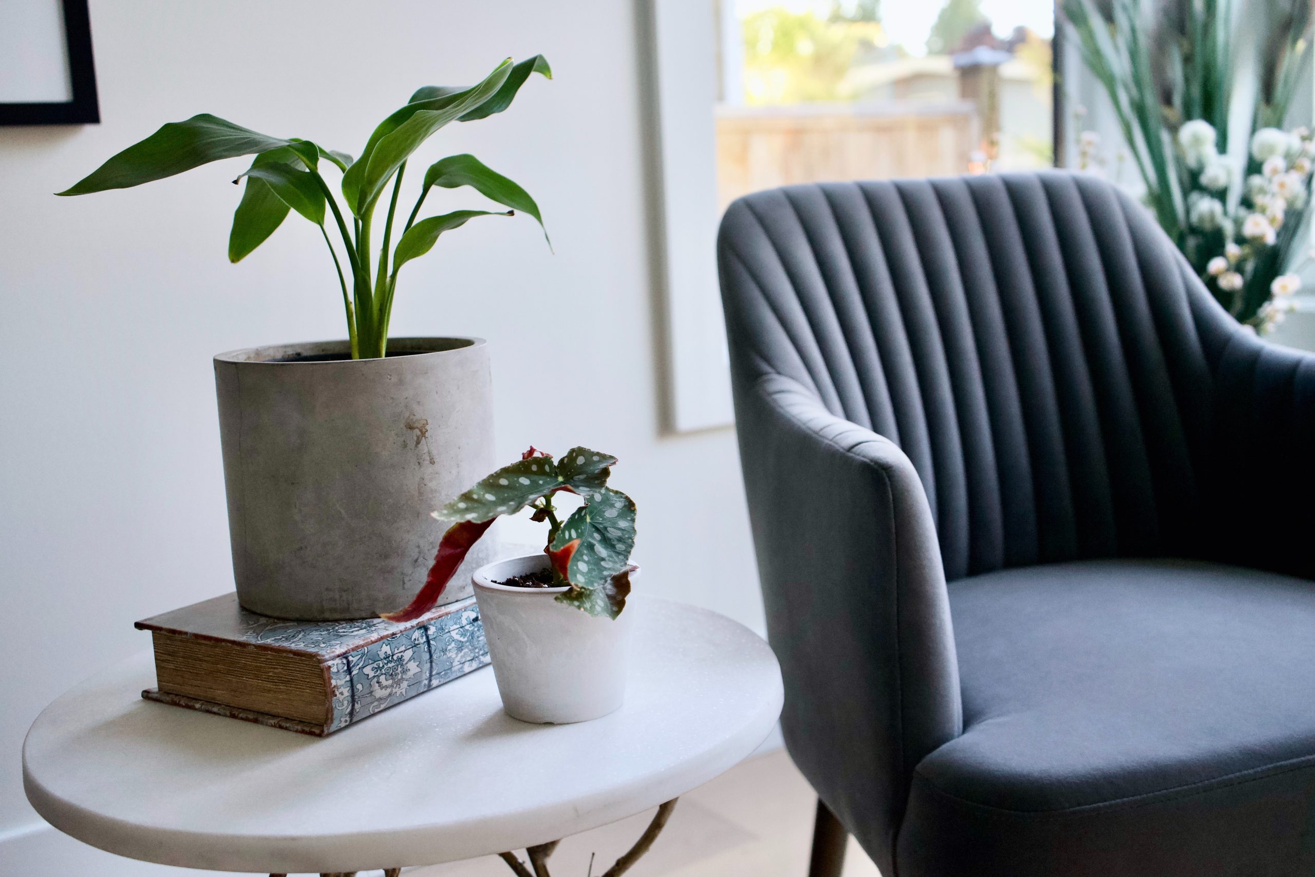 Blue chair